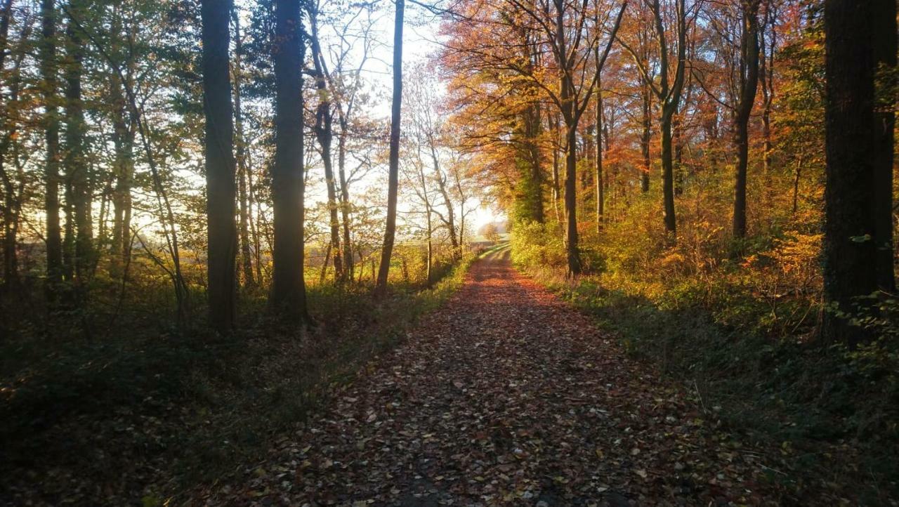 Petit Bonheur Villa Oudenaarde Dış mekan fotoğraf