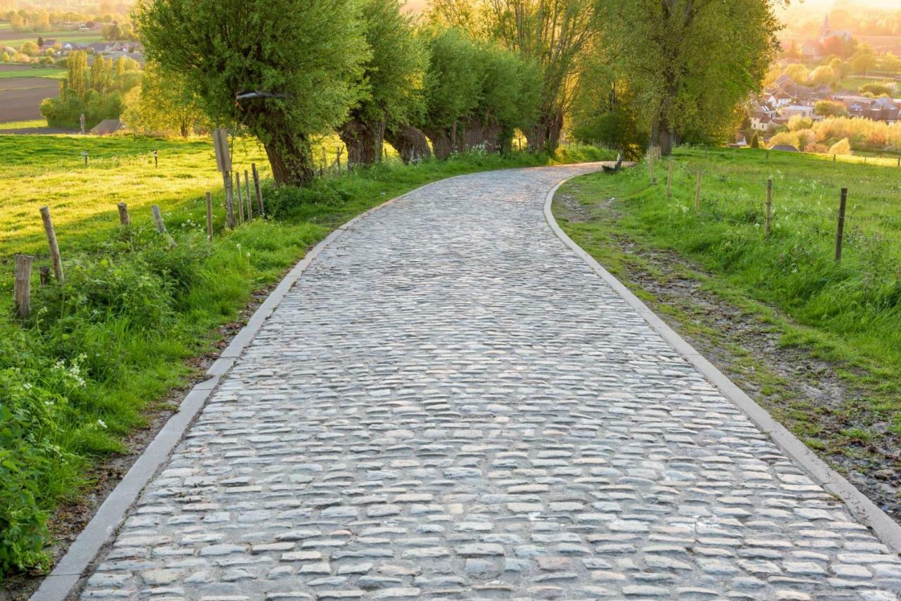 Petit Bonheur Villa Oudenaarde Dış mekan fotoğraf