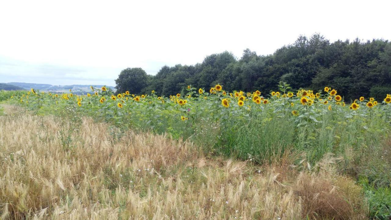 Petit Bonheur Villa Oudenaarde Dış mekan fotoğraf